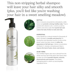 Product benefits for the sweet sunrise shampoo including nettle, horsetail and aloe vera. 